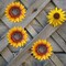 Set of 3 Metal Sunflower Wall Decor – 9" Handmade Flower Art for Indoor & Outdoor